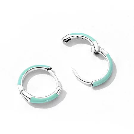 Pandora Style Double Circle Hoop Earrings - SCE1454