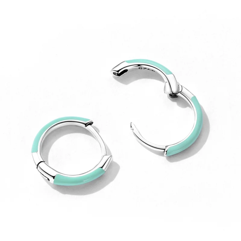 (image for) Pandora Style Double Circle Hoop Earrings - SCE1454 - View 4
