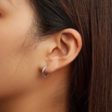 Pandora Style Pattern Color Zirconium Hoop Earrings - BSE683