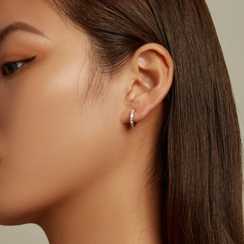 (image for) Pandora Style Simple Grid Hoop Earrings - SCE1372 - View 5