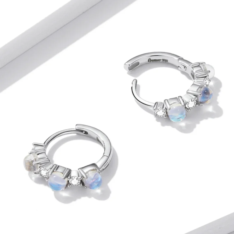 (image for) Pandora Style Simple Hoop Earrings - BSE532 - View 4