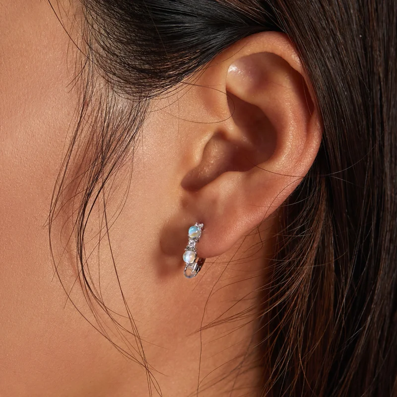 (image for) Pandora Style Simple Hoop Earrings - BSE532 - View 7