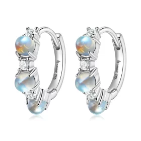 Pandora Style Simple Hoop Earrings - BSE532 Pandora Style Simple Hoop Earrings - BSE532