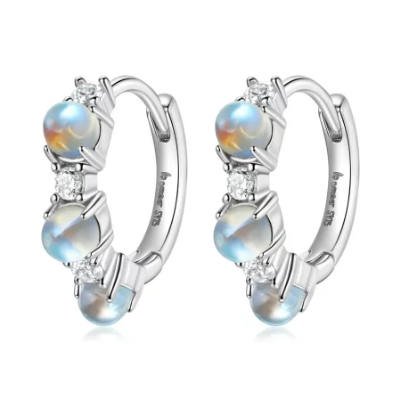 Pandora Style Simple Hoop Earrings - BSE532 Pandora Style Simple Hoop Earrings - BSE532