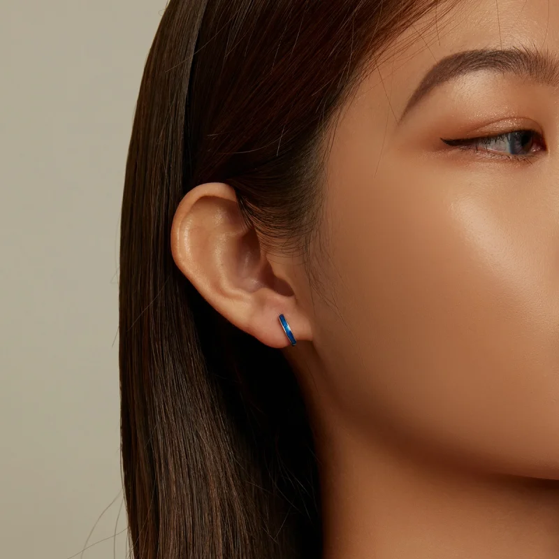 (image for) Pandora Style Simple Hoop Earrings - SCE1360 - View 5