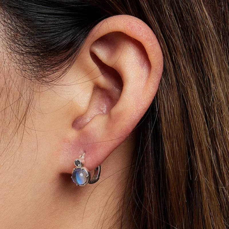 (image for) Pandora Style Simple Symphony Hoop Earrings - SCE1411 - View 5