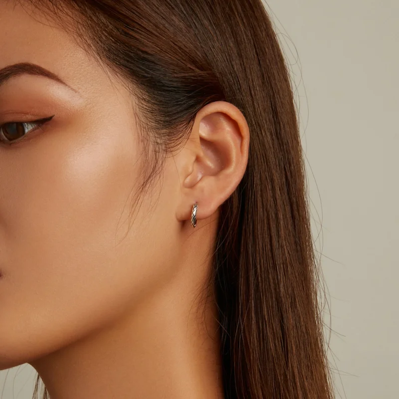 (image for) Pandora Style Snake Pattern Hoop Earrings - SCE1354 - View 6