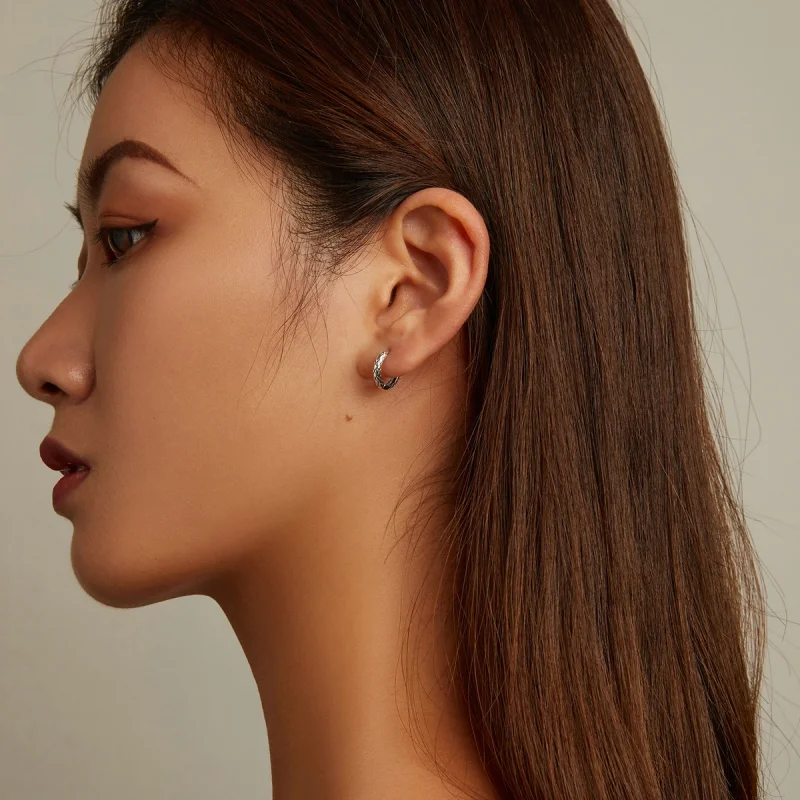 (image for) Pandora Style Snake Pattern Hoop Earrings - SCE1354 - View 7