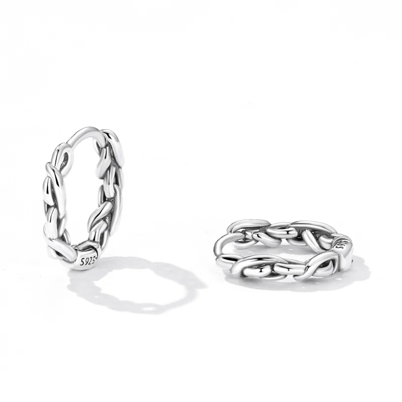 (image for) Pandora Style Twisted Rope Hoop Earrings - SCE1432 - View 2