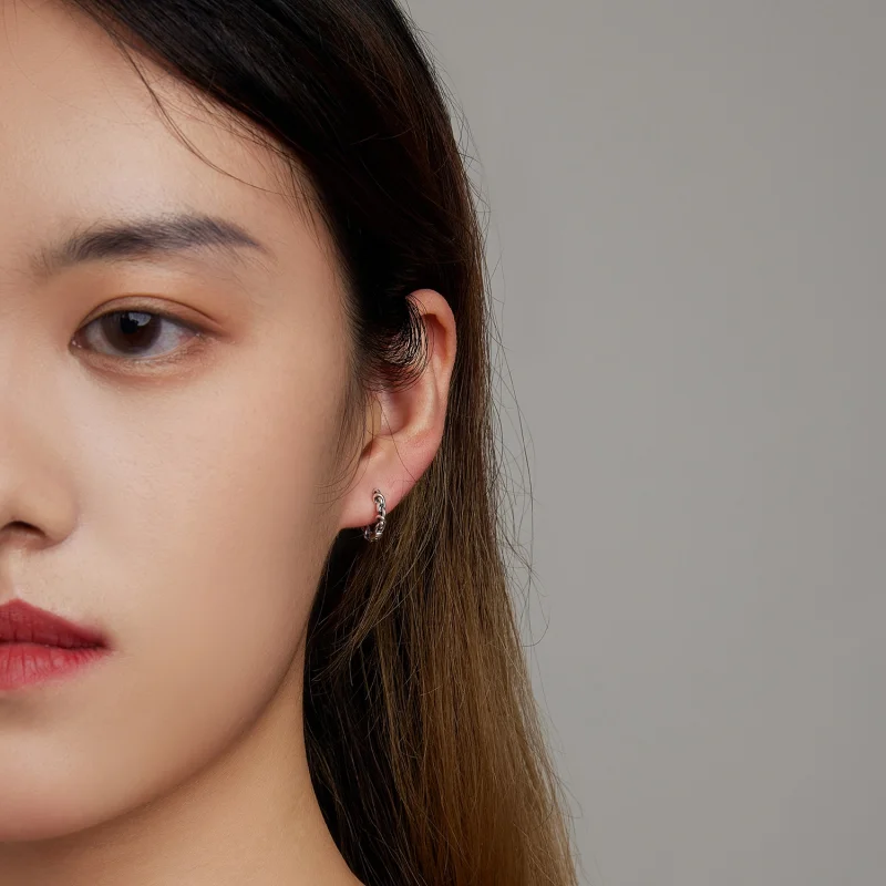 (image for) Pandora Style Twisted Rope Hoop Earrings - SCE1432 - View 6