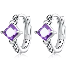 Pandora Style Zircon Snake Pattern Hoop Earrings - SCE1417