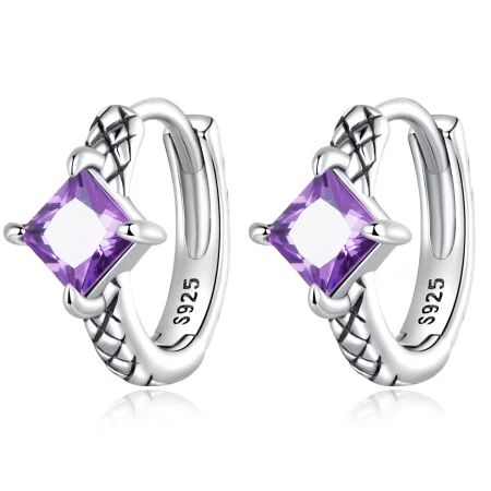 Pandora Style Zircon Snake Pattern Hoop Earrings - SCE1417