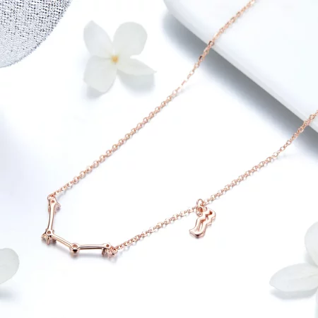 Pandora Style Aquarius Necklace - BSN016