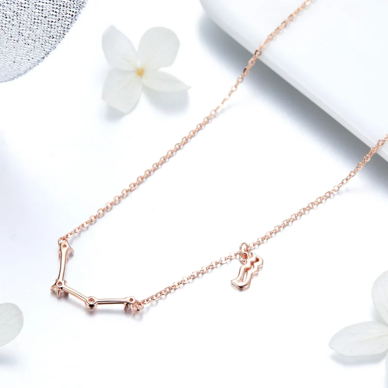 (image for) Pandora Style Aquarius Necklace - BSN016 - View 4