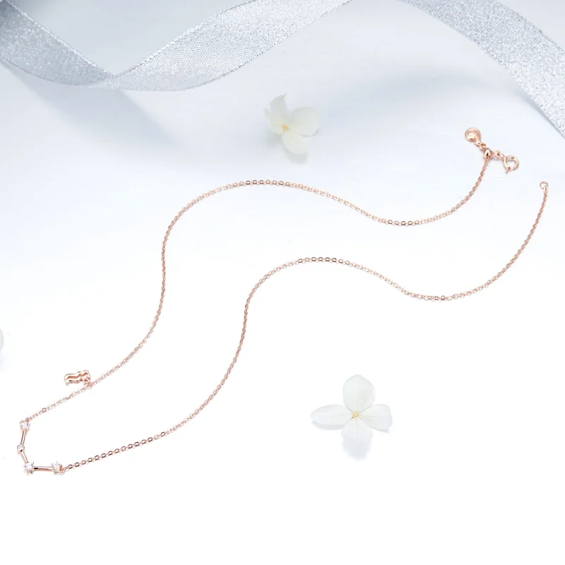 (image for) Pandora Style Aquarius Necklace - BSN016 - View 5