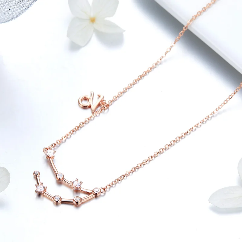 (image for) Pandora Style Capricorn Necklace - BSN026 - View 3