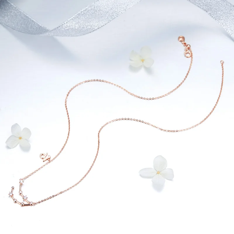 (image for) Pandora Style Capricorn Necklace - BSN026 - View 5