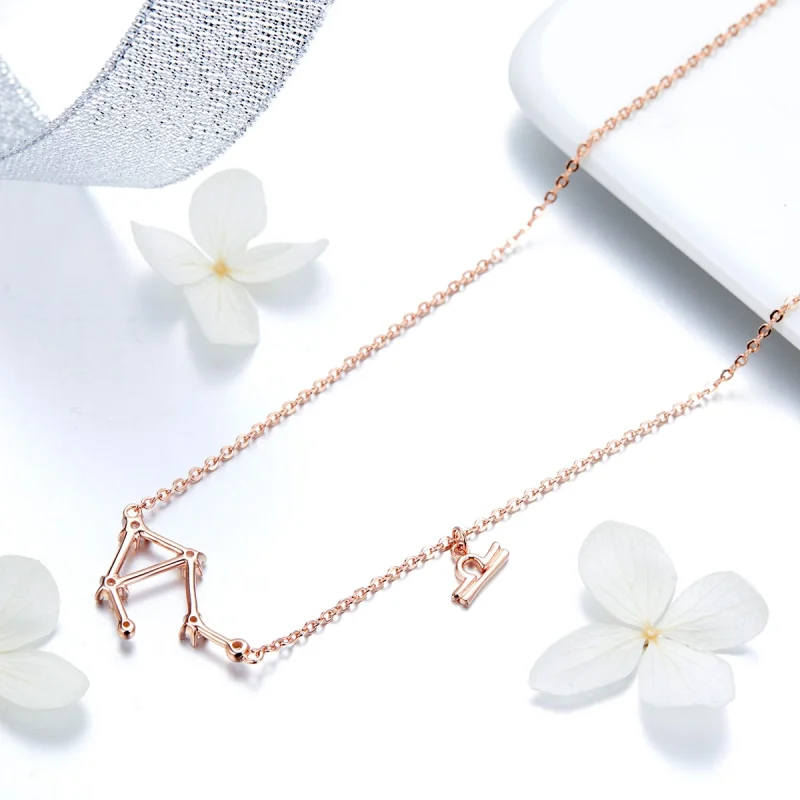 (image for) Pandora Style Libra Necklace - BSN022 - View 4