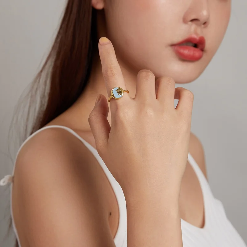 (image for) Pandora Style Sun and Moon Shine Together Open Ring - SCR732 - View 8