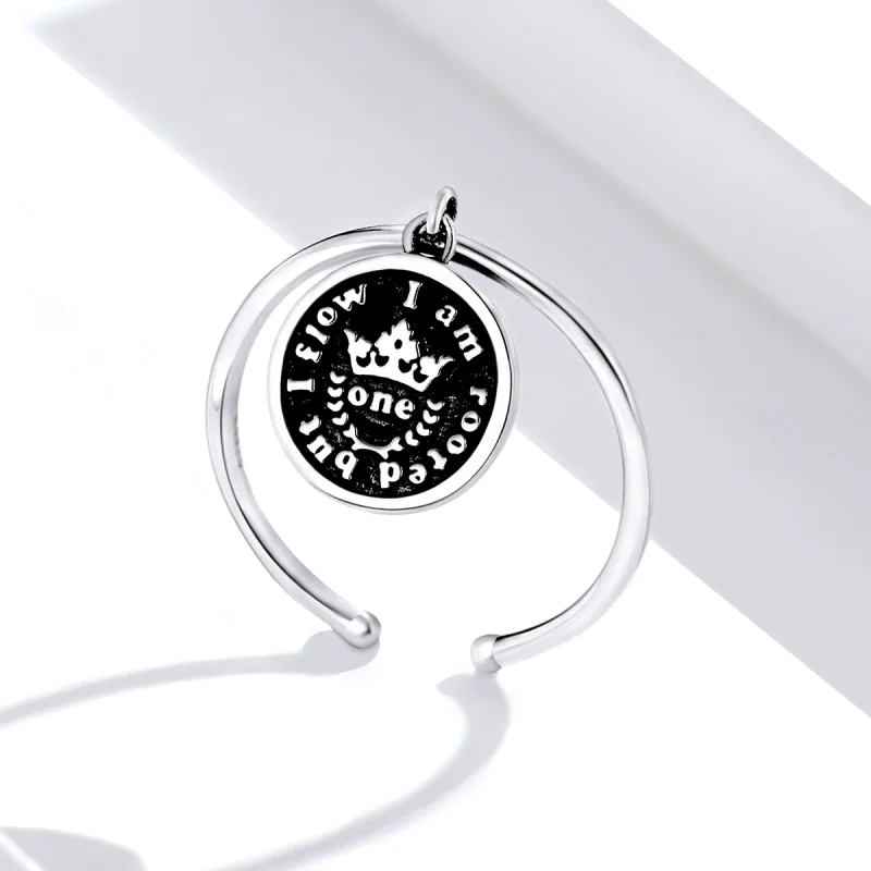 (image for) Pandora Style Vintage Coins Open Ring - SCR655 - View 3