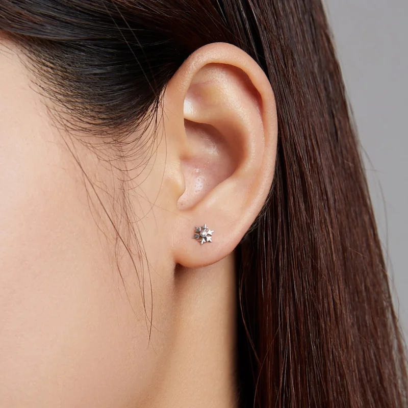 (image for) Pandora Style Beautiful Snowflakes Stud Earrings - BSE529 - View 6