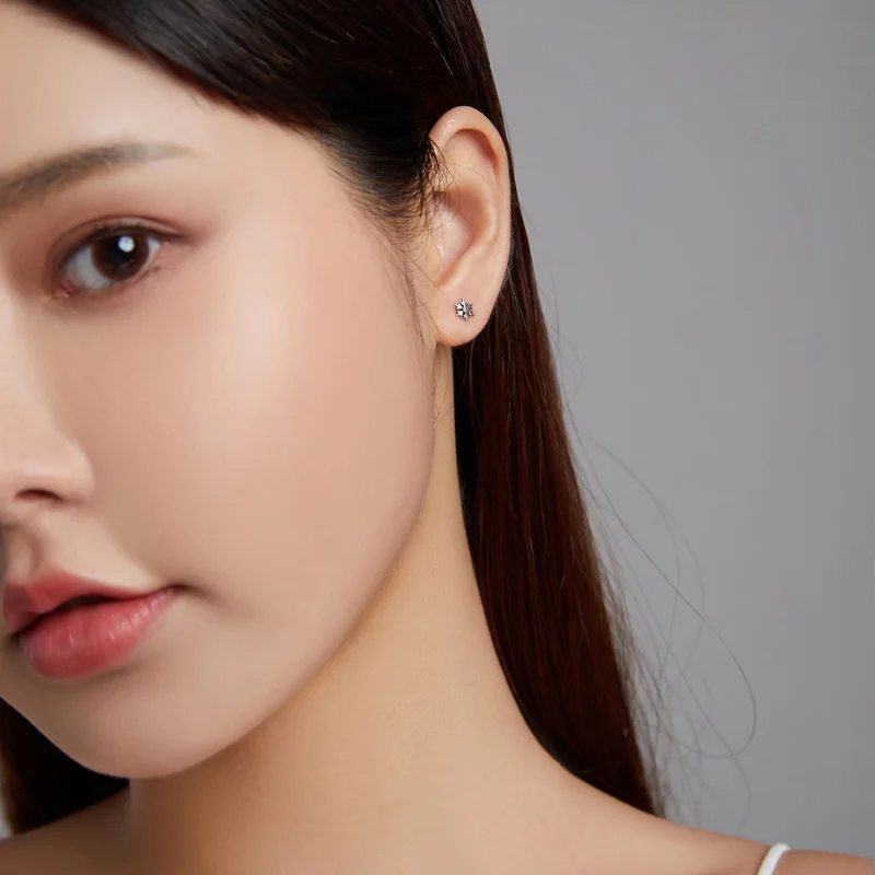 (image for) Pandora Style Beautiful Snowflakes Stud Earrings - BSE529 - View 7