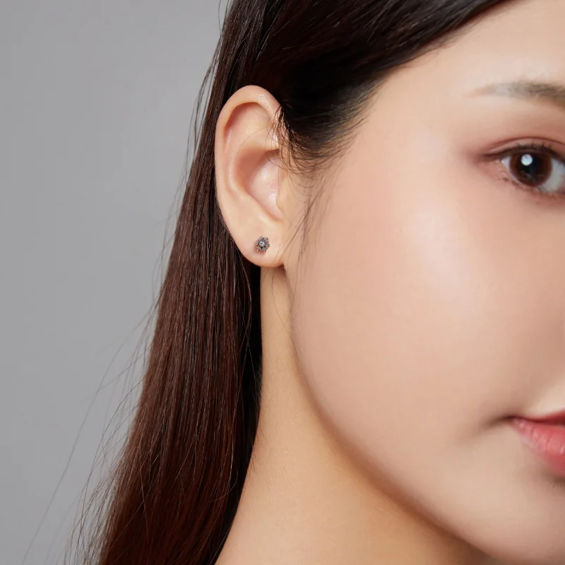 (image for) Pandora Style Beautiful Snowflakes Stud Earrings - BSE529 - View 8