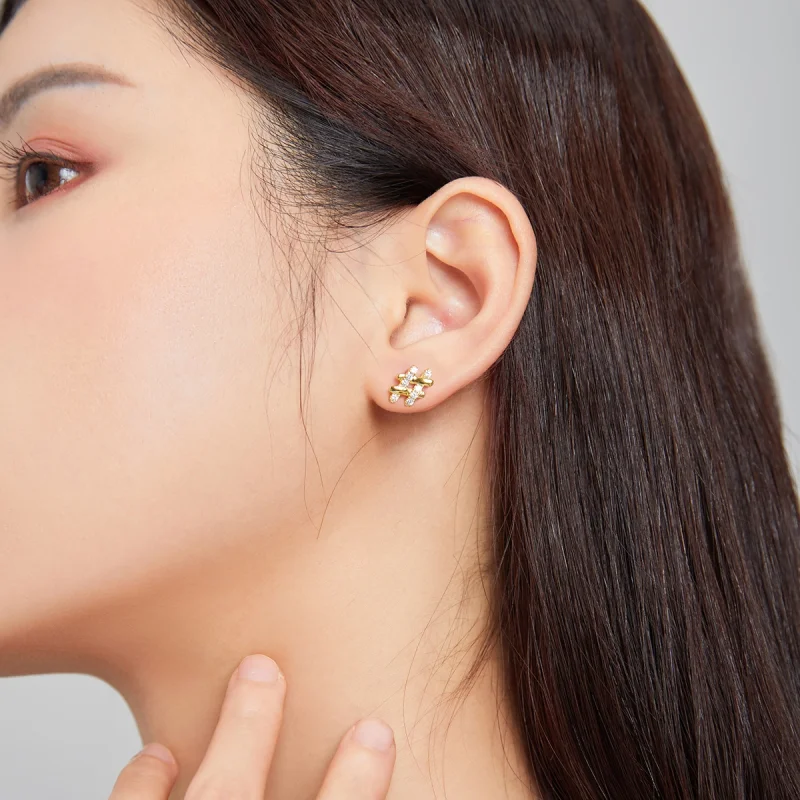 (image for) Pandora Style Secret Symbol - # Stud Earrings - SCE1071 - View 3