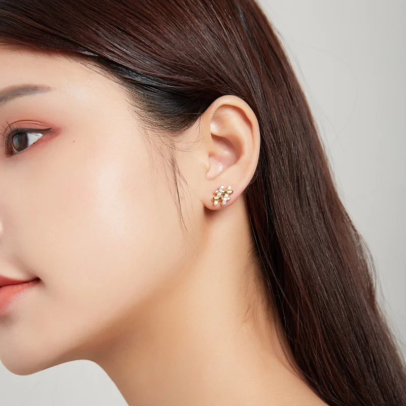 (image for) Pandora Style Secret Symbol - # Stud Earrings - SCE1071 - View 5