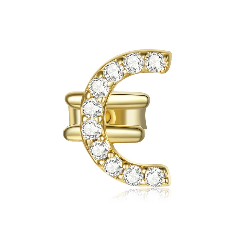 (image for) Pandora Style Secret Symbol - € Stud Earrings - SCE1074 - Product Image