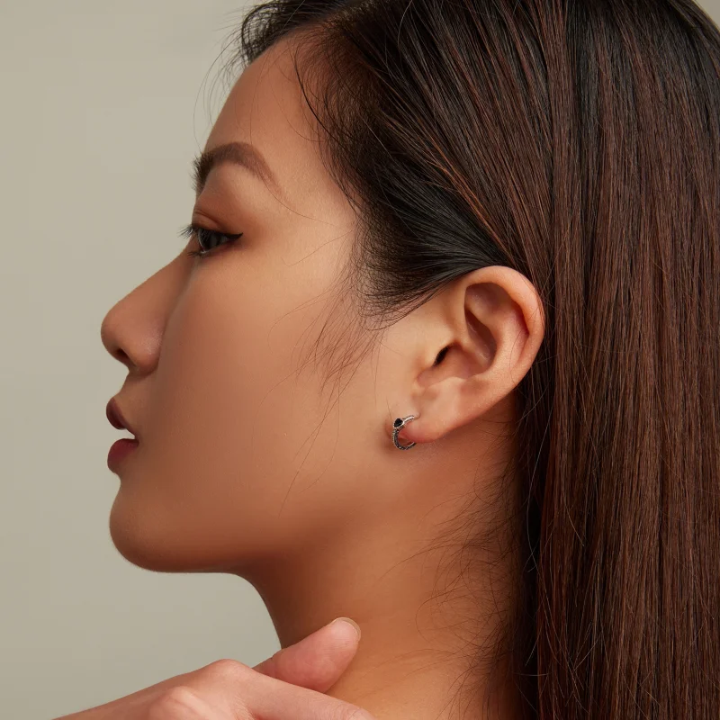 (image for) Pandora Style Vintage Black Zircon Stud Earrings - SCE1520 - View 7